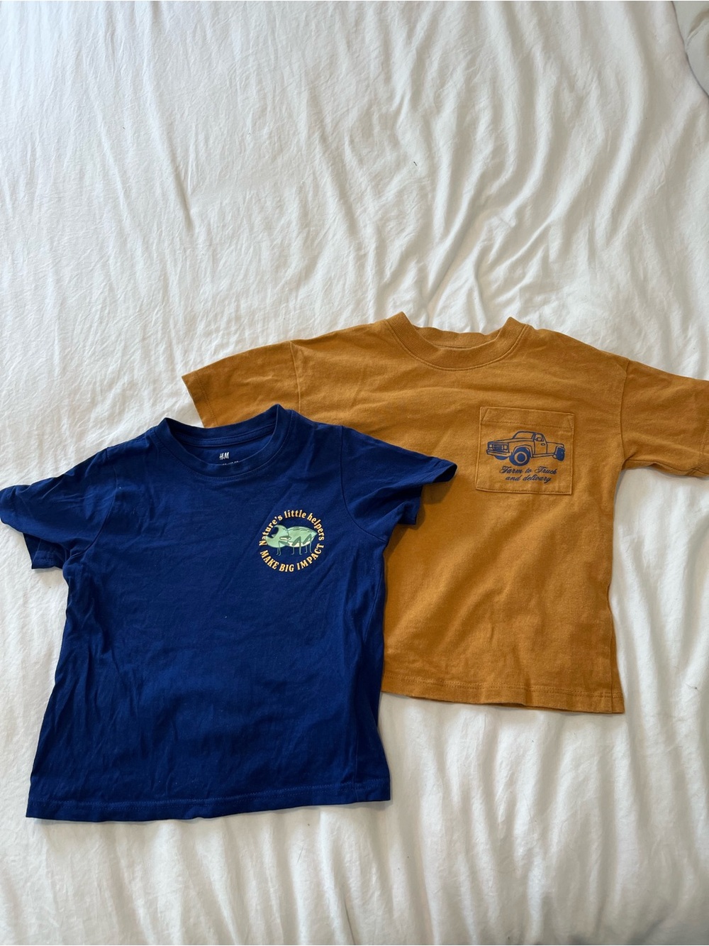 Boys 2T shirts